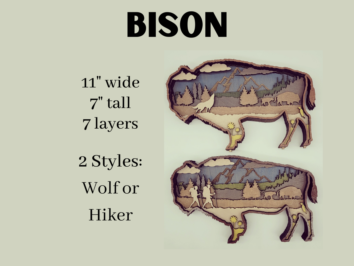 Bison